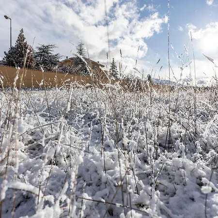 Royal Garden Apartament *