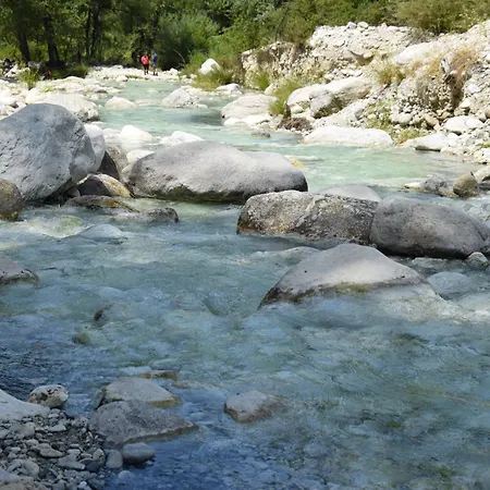 Apartament Royal Garden