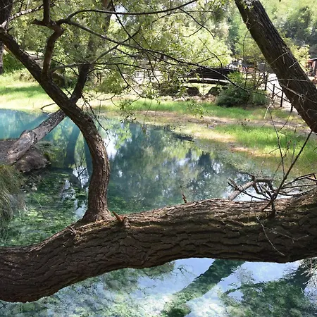 Royal Garden Apartament *