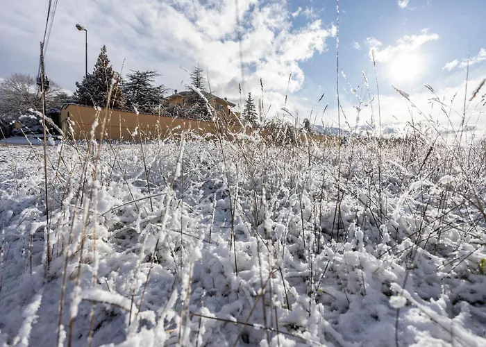 Royal Garden Daire *